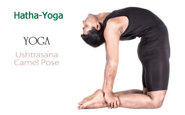 Hatha Yoga - Bild © byheaven - Fotolia.com