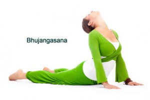 Bhujangasana - Kobrastellung im Yoga