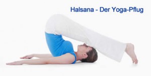 Halsana Yogastellung - der Pflug