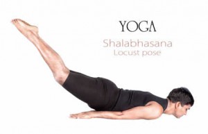 Shalabasana Yogastellung