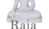 raja-yoga-bewusstsein-kontrollieren