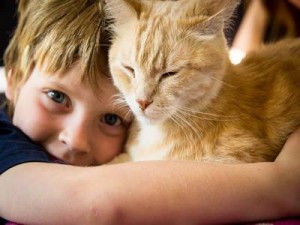 Häufigste Auslöser von Tierhaarallergie: Die Katze