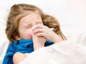 Häufiger Auslöser von allergischem Schnupfen: Der Kot der Hausstaub-Milbe.